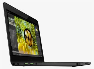 Razer - Razer Blade 2014 #4619215