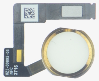 Ipad Pro - Ipad Pro (12.9-inch) (2nd Generation) #4619952