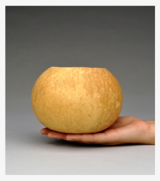 Gourd Bowls, Pre Cut And Craft Ready - Gourd #4621372
