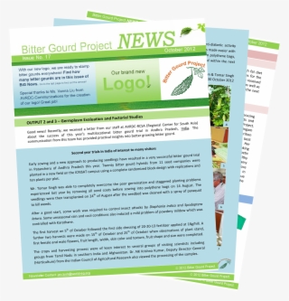 Find The Bitter Gourds In This Month's Issue Of Big - Flyer #4622022