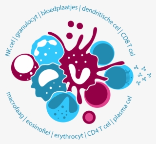 20180204 Actors Immune System #4622770