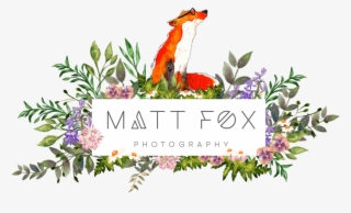 Matt Fox Photography #4624832