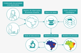 Black Greeting Cards (pk Of 10) #4625673