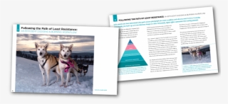 Piet Van Den Eynde Edith Levy Photography Flashes Eynde - Digitale Fotografie Op Reis #4625826