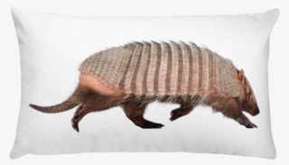 Armadillo Print Rectangular Pillow - Armadillo - Dasypodidae - Cingulata Mug #4628664