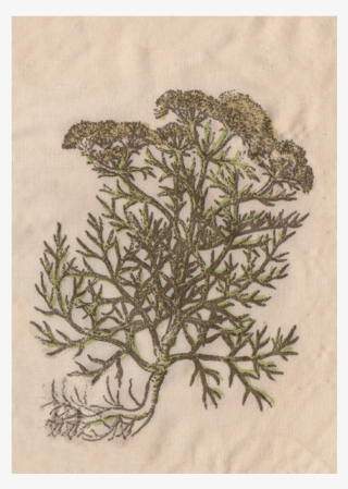 Patch Five 1 - Motif #4631113