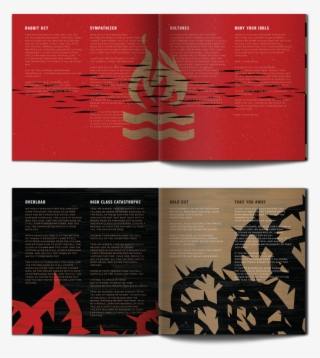 Nicole Ward The Following Is Placeholder Text Known - Hot Water Music Light It Up Vinyl Record #4632214