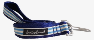Light Blue Stripe Ribbon Dog Lead - Webbing #4632288