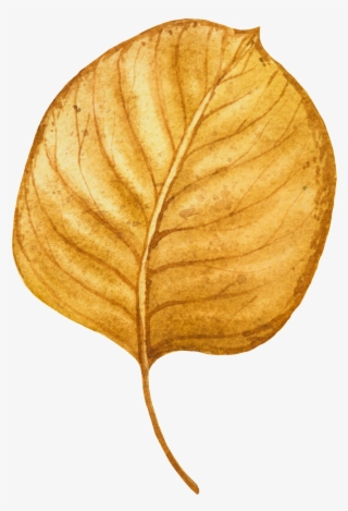 Hand Painted A Piece Of Yellow Fallen Leaves Vector - Leaf #4634157