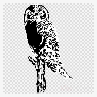 Owl Silhouette Clipart Owl Bird Clip Art - Owl Silhouette #4634389