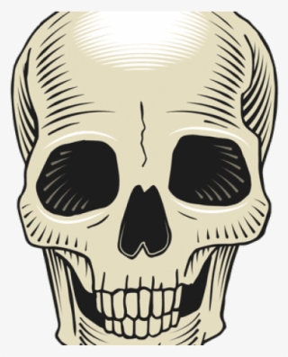 Dibujo De Huesos De La Cabeza #4634828