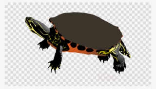 Rainbow Black Icon Png Clipart Computer Icons Clip - Vector Graphics #4635096