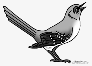 Mockingbird Clipart Black And White - Northern Mockingbird Clipart #4635544 Mockingbird Clipart Black And White - Northern Mockingbird Clipart #4635544