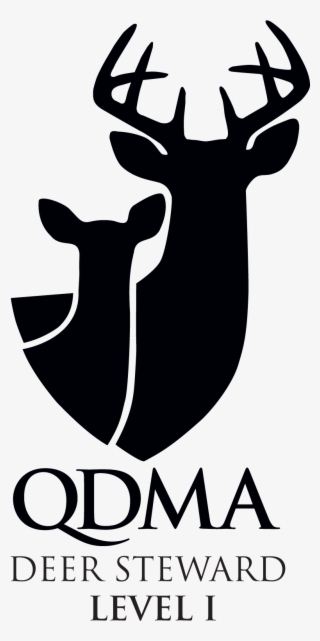 Qdma Deer Steward I - Qdma Logo #4636120