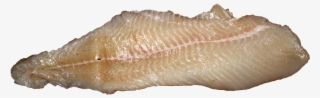Pike Fillet - Wikimedia Commons #4636230
