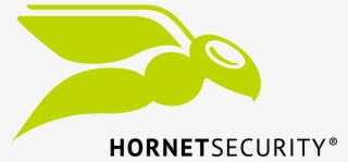 Hs Logo Flat 3c Rz - Hornetsecurity Logo #4636284