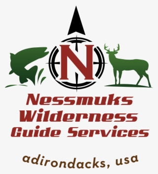 Wilderness Guides Marlborough Sounds #4636898