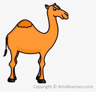 Drawn Camel Drawing - Easy Draw Camel #4636954