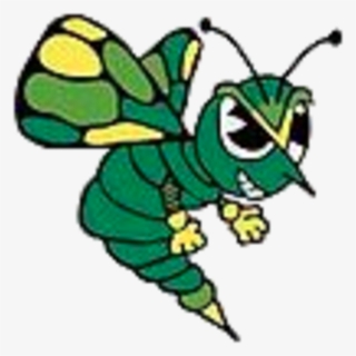 The Greenfield-northwestern Coop Tigers Vs - Brown County Hornet #4636957