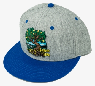 Lemon Life Roots Hat Grey With Blue Bill - Hat #4639529