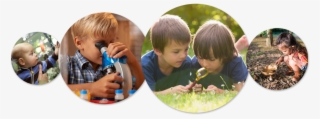 Curiosity-image - Toddler #4640157