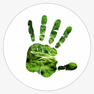 Silhouette Of Hand Over Forest Scene - Stop Hand Sign Png #4643124