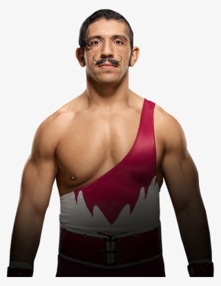 Wwe Simon Gotch #4644584
