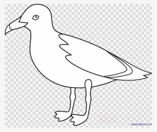 Download Seagull Black And White Clipart Gulls Clip - Gaviota Dibujo #4645569 Download Seagull Black And White Clipart Gulls Clip - Gaviota Dibujo #4645569