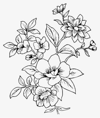 Flowers PNG, Transparent Flowers PNG Image Free Download , Page 37 - PNGkey