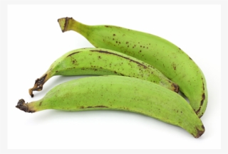 Plantain - Green Plantain #4646754