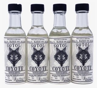 Sotol Coyote 38% Alc 50ml 4 Pack - Sotol #4647477