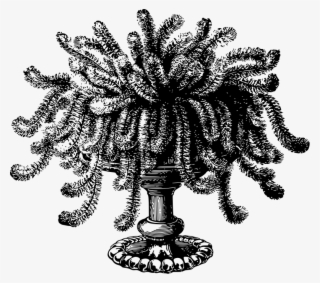 Potted Plant #4647481