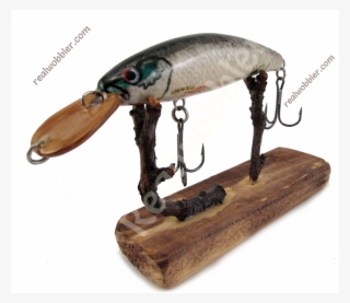 Display All Pictures - Bait Fish #4648909