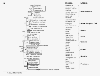 Continued - - Human Eye #4650460