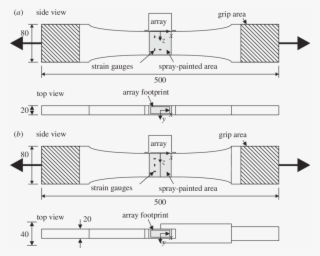 Download - National 6840s Oil Seal #4652206