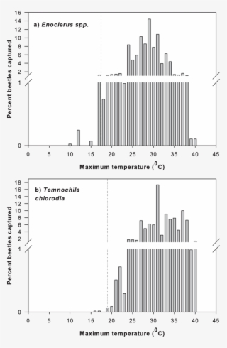Percent Of Total Enoclerus Sp - Diagram #4652304