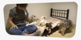 Our Slumber Party Is A Wonderful, Communal Take On - Sitting #4652518