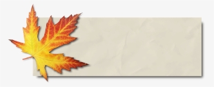 Autumn Banner Png - Maple Leaf Banner #4654010