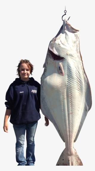 Cook Inlet Charters - Jigging #4659708