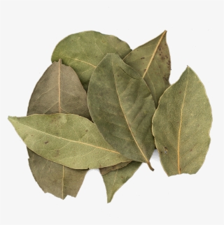 Bay Can Be Used To Flavour Both Sweet And Savoury Dishes - Bay Leaf #4659886
