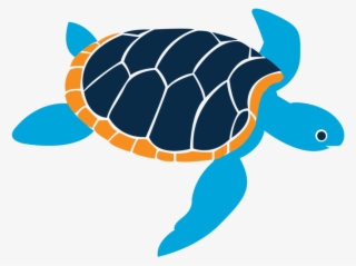 In The Fall Of 2013 The Early Learning Center Was Launched - Turtle #4660224