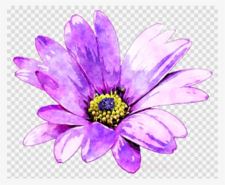 Purple Flower Painting Clipart Common Daisy Watercolor - Watercolor Painting #4660305