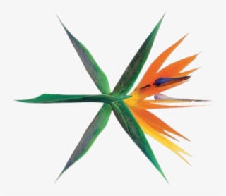 Exo Logo Png Наклейка Png Avatan Plus - Exo Kokobop Logo Transparent #4661610