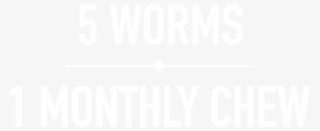 What Is Interceptor Plus - Human Action #4661878