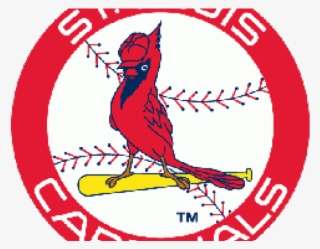 St. Louis Cardinals #4666887