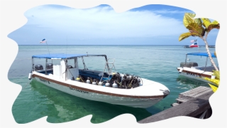The Diving Is From Speedboats « - Mabul Island #4667544