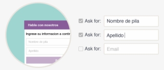 Use Any Language With Pure Chat - Pure Chat Inc. #4669461