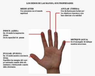 20 De Enero De - Poder De Las Manos #4669773