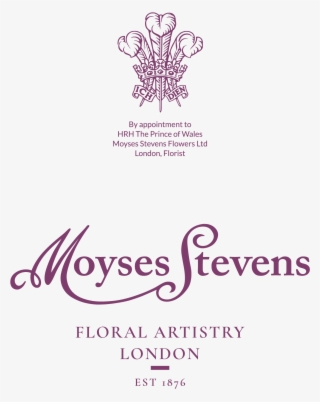 Moyses Stevens - Parker Sonnet Brushed Steel Ct Ballpoint Pen Gift Set #4670092