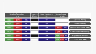 Experience-dependent Upregulation Of Multiple Plasticity - Coat #4671735